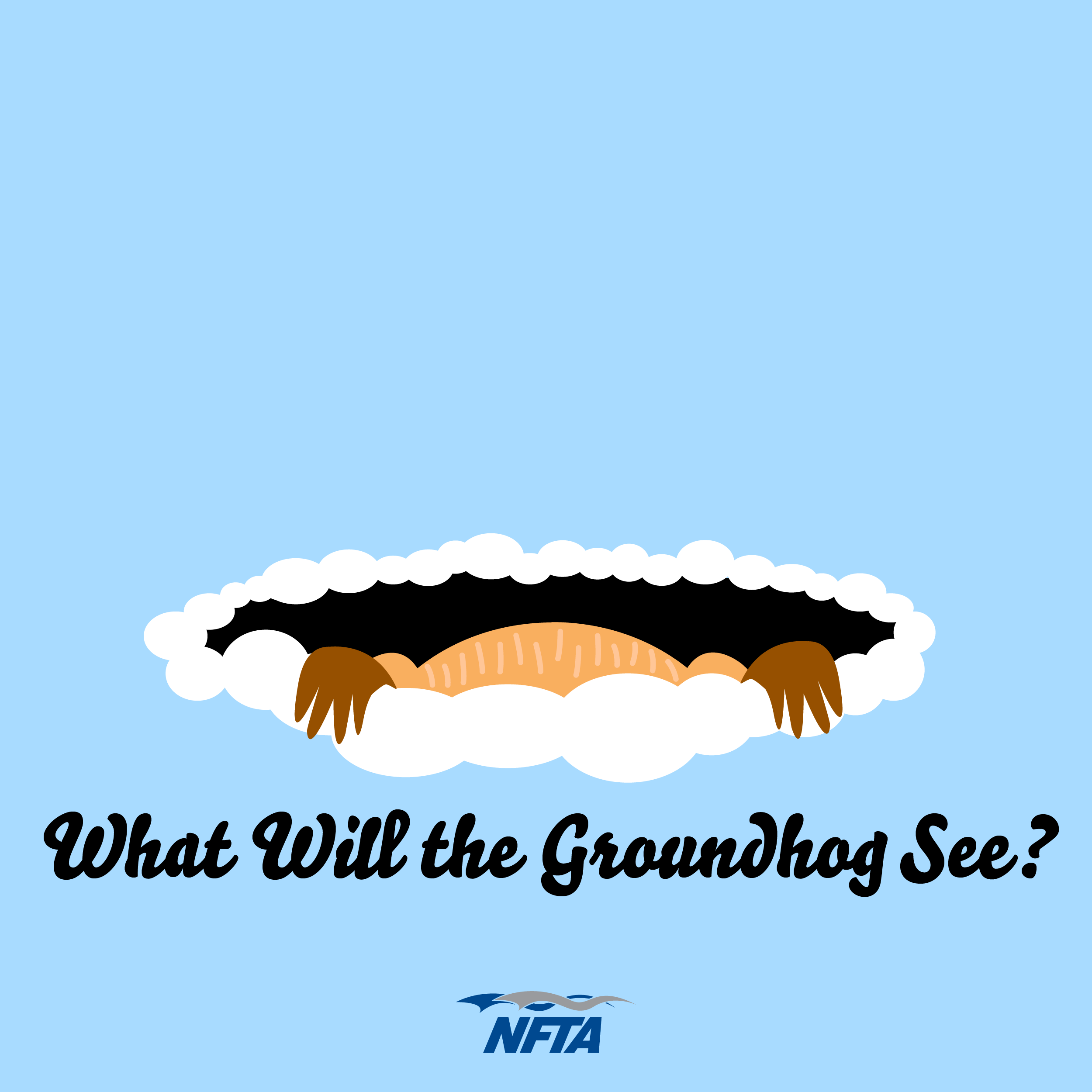 Will the Groundhog see his Shadow? NFTA Elements