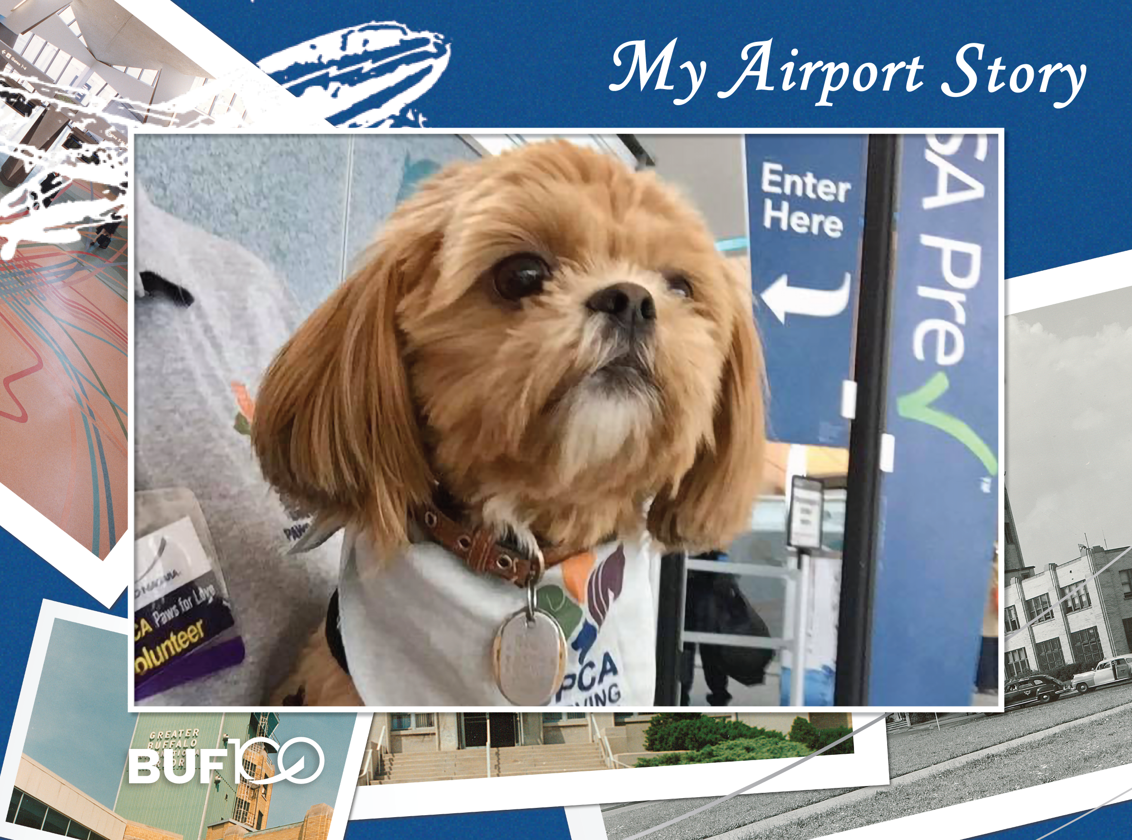 BUF100 My Airport Story Denise Drews