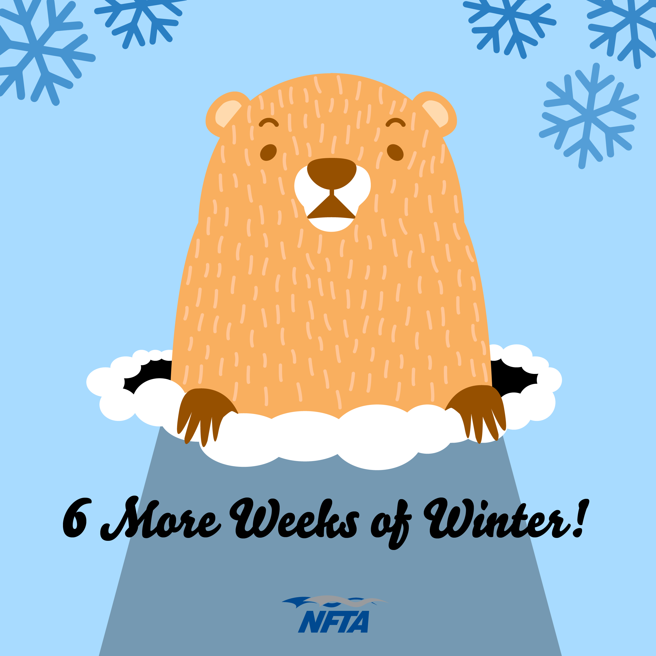 6 More Weeks of Winter NFTA Elements